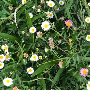 Meet your Posher, Clarissa